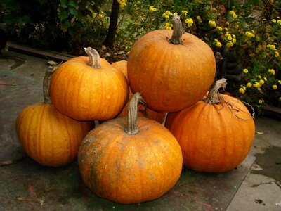 October agriculture