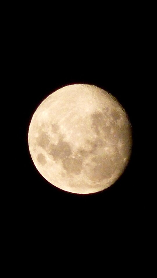 Moonlight nocturne nature