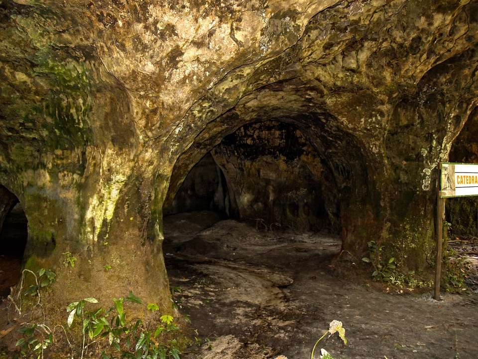 Rocks jungle brazil