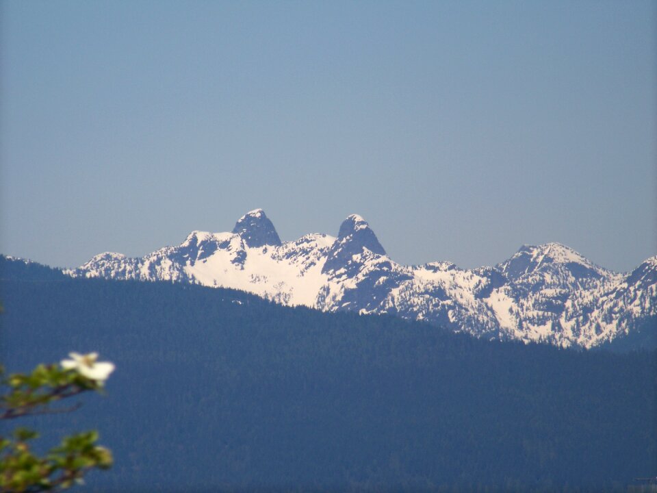 Lions mountain snow mountain