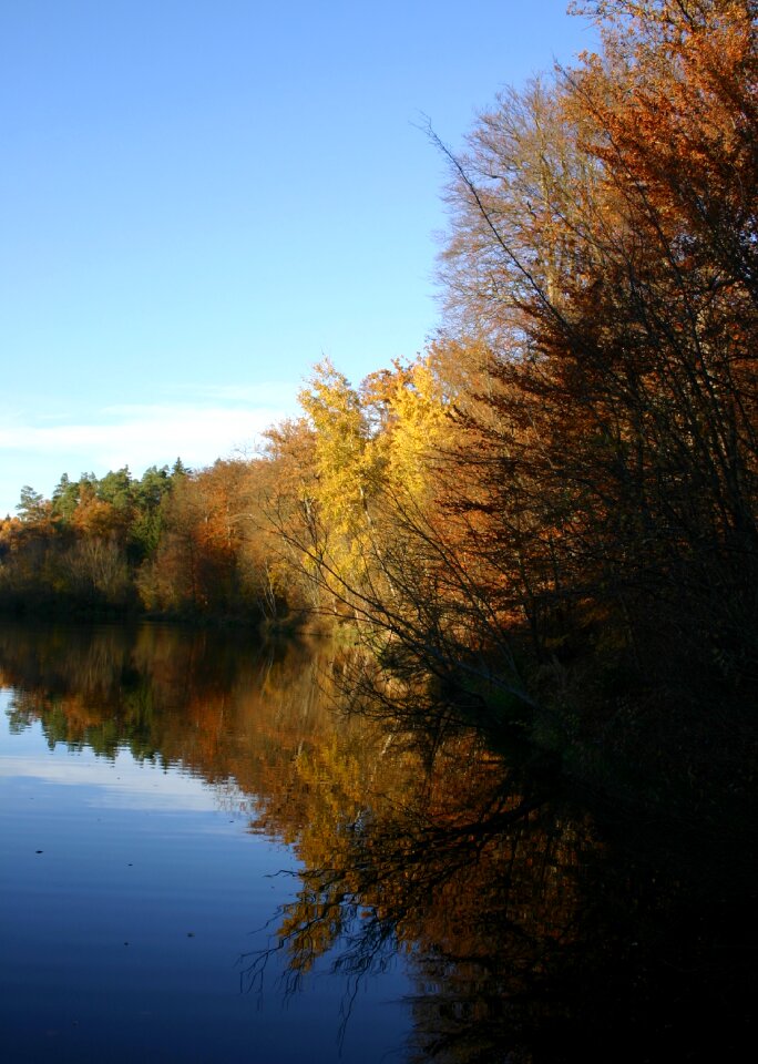 Autumn mood autumn trees trees
