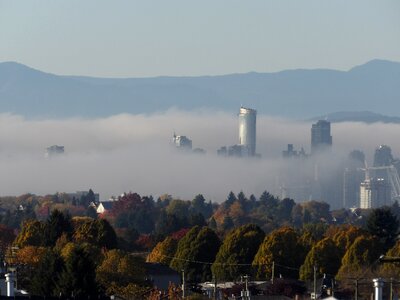 Fog skyline urban photo