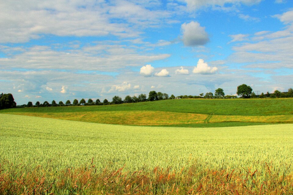 Spring field germany