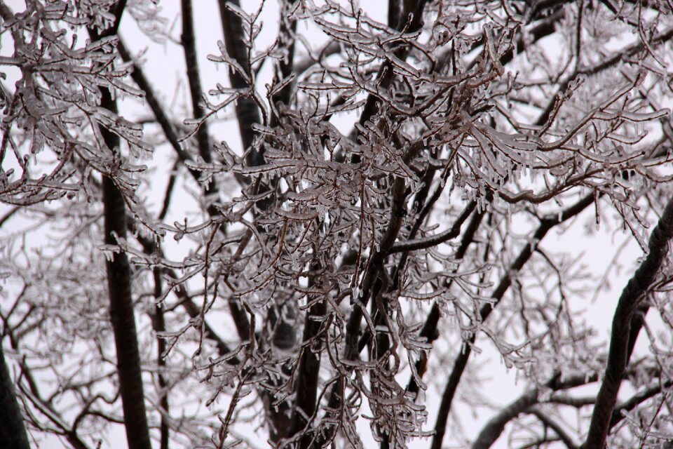 Ice storm winter icicle photo