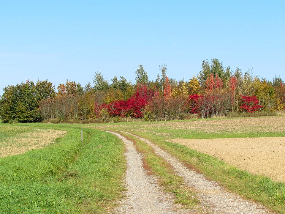 Landscape autumn fields