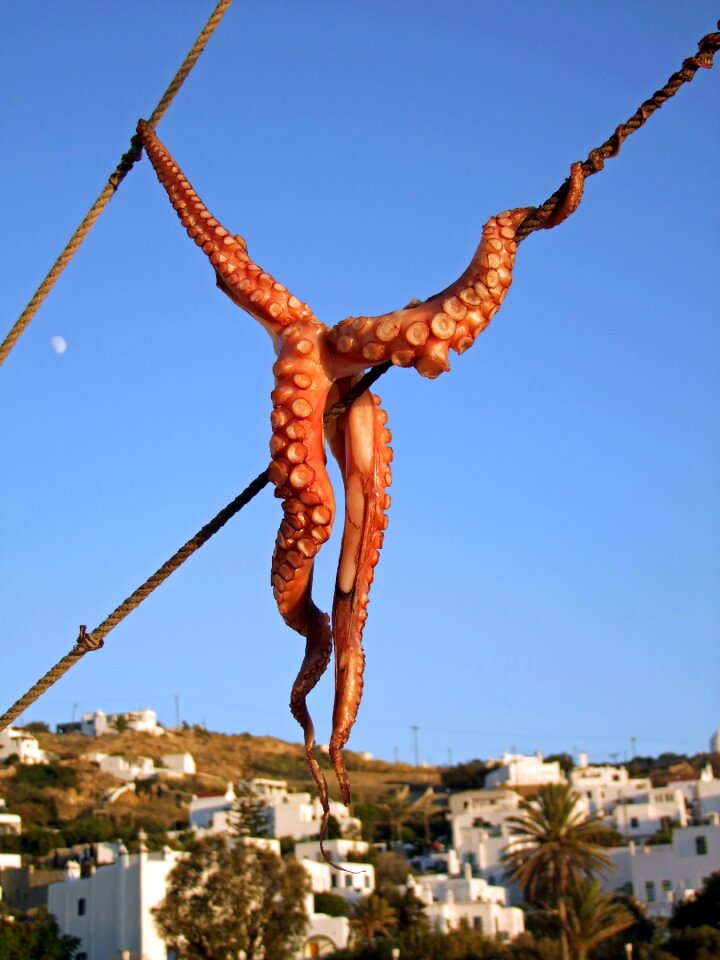 Mykonos greece cyclades
