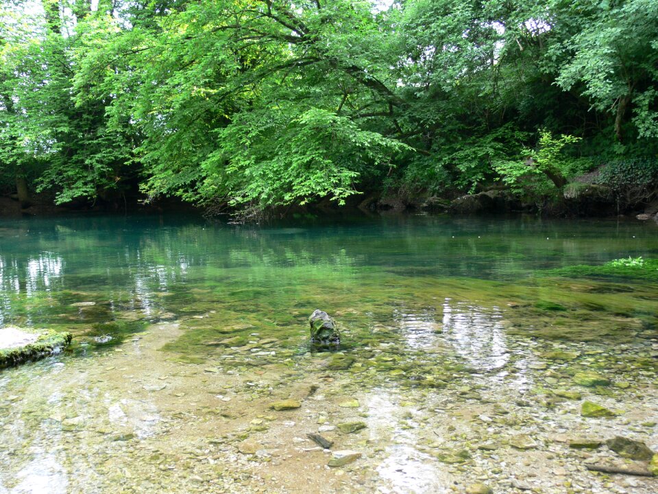 Nature landscape