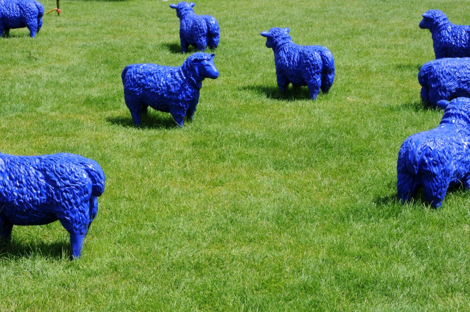Pasture flock modern art