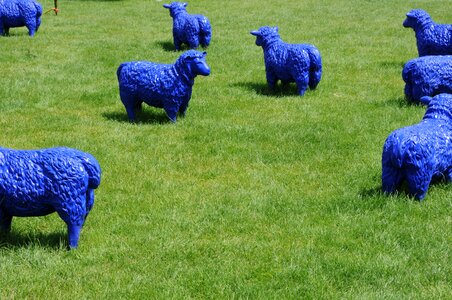 Pasture flock modern art photo