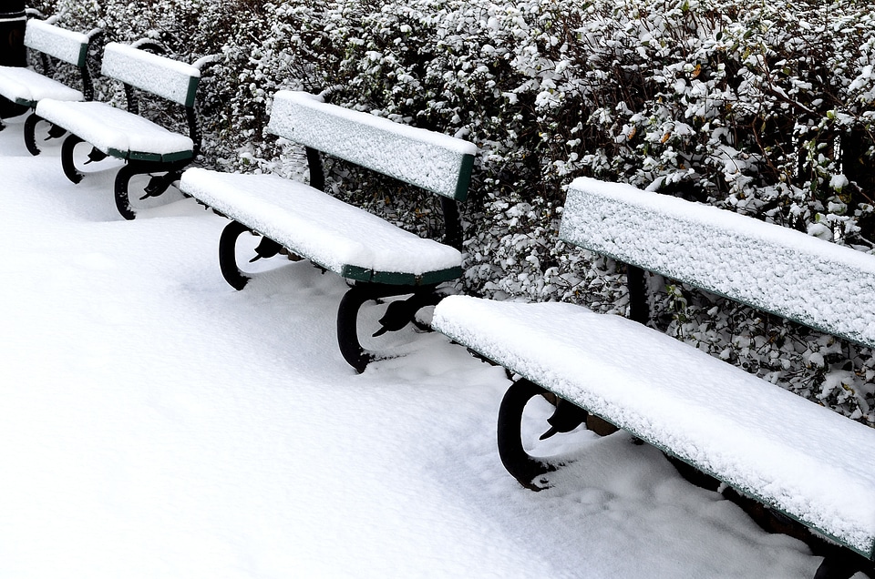 Background seasons black