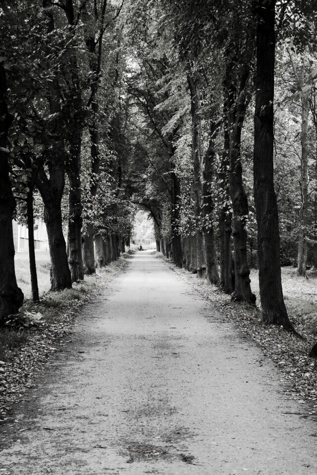 Road hemming autumn