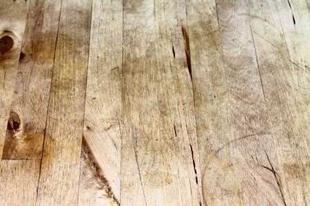 Texture nature weathered