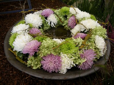 Wreaths flora art