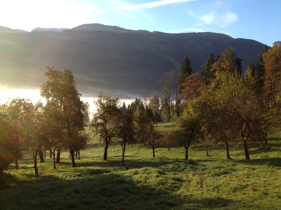 Morning mood landscape