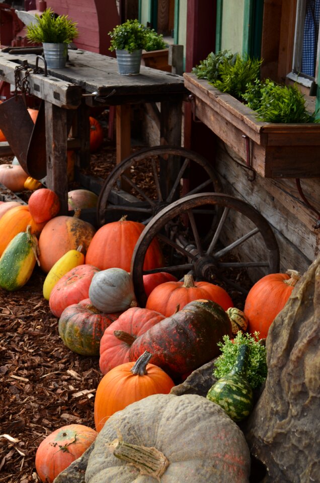Vegetables decoration gourd