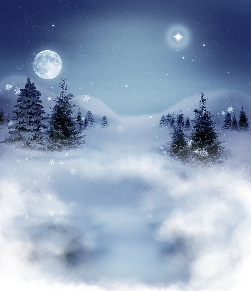 Trees beauty snow