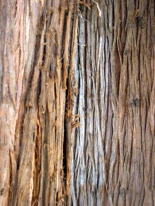 Strain surface wood