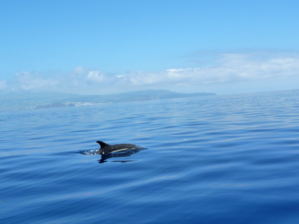 Atlantic ocean azores travel