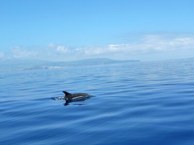 Atlantic ocean azores travel