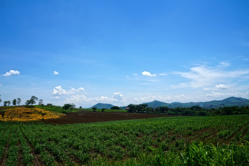 Air mountains planting