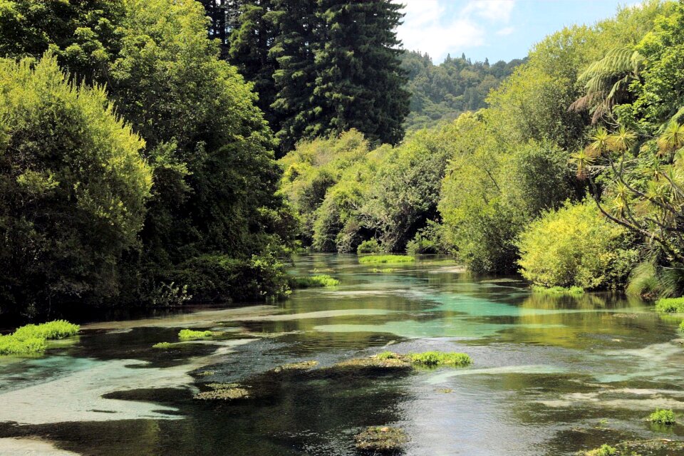 Nature scenery view