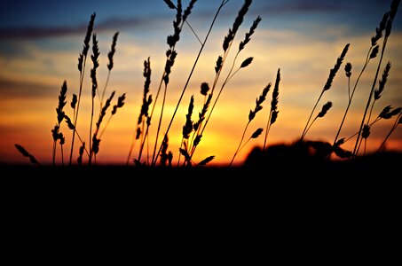 Sunset landscape nature photo