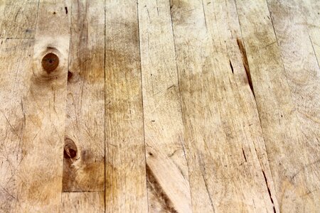 Texture nature weathered
