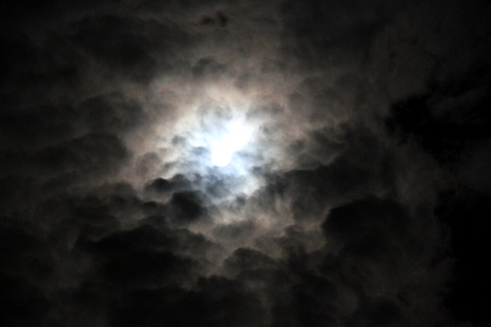 Night black nature