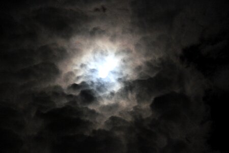 Night black nature