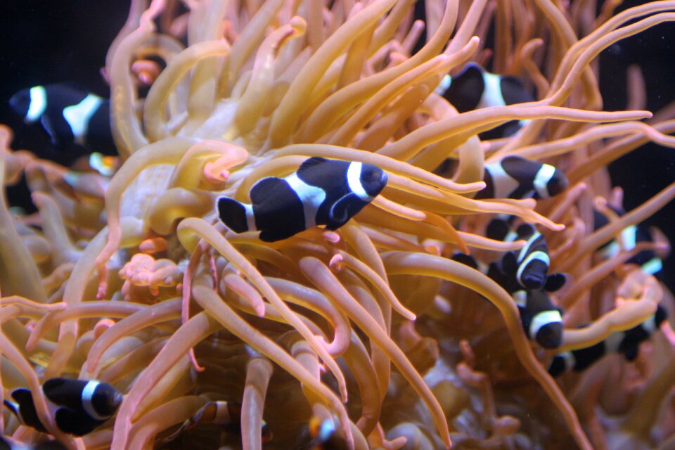 Ocean marine underwater