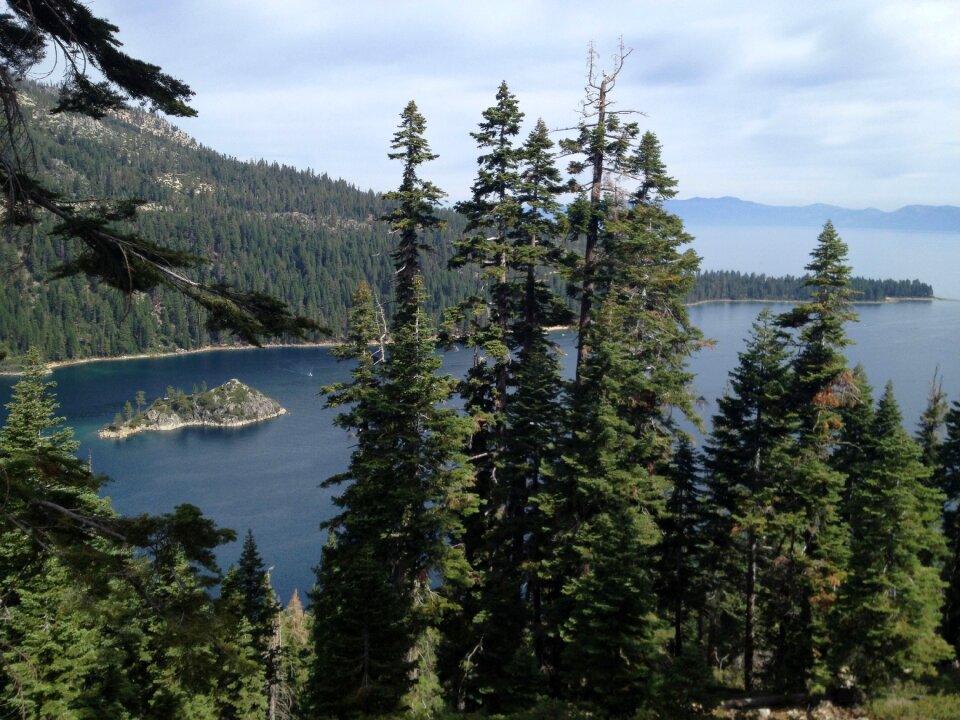California island nature