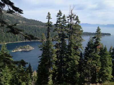 California island nature
