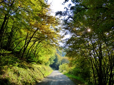 Luxembourg lighting afternoon