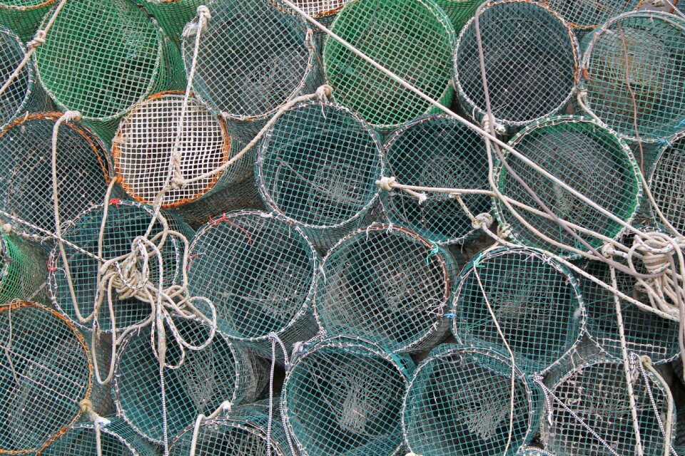 Mediterranean fishing nets fish