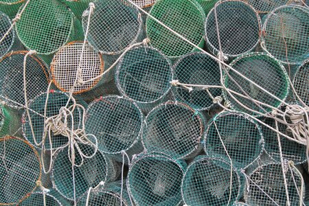 Mediterranean fishing nets fish photo