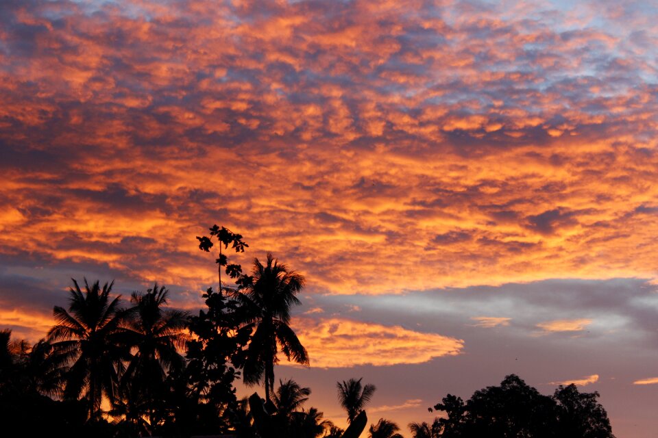 Sunset sky outdoor