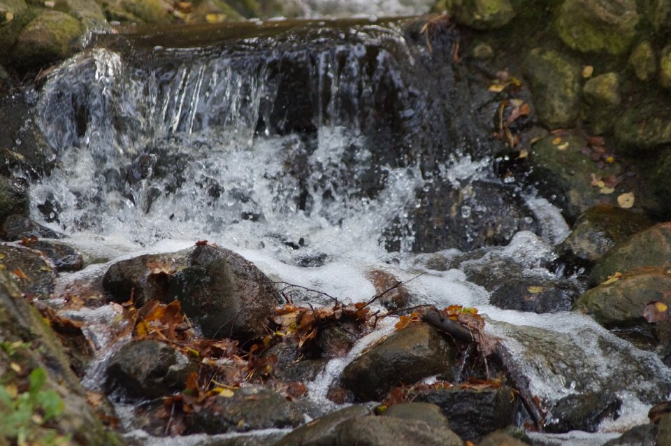 Landscape waters murmur