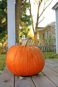 Porch fall autumn