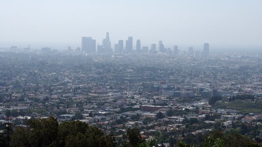 California mist blue angel