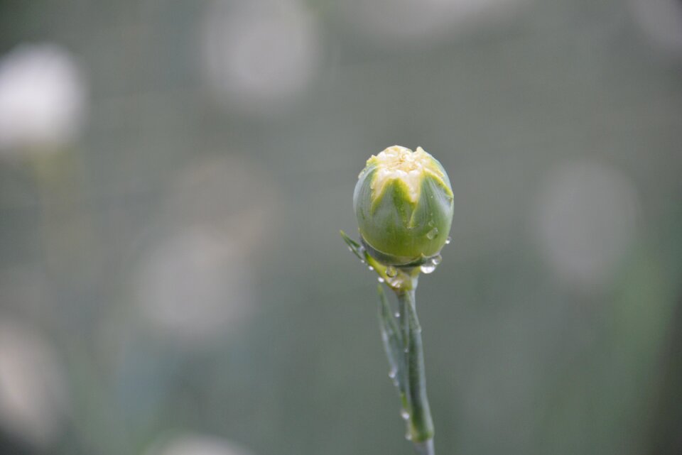 Morning macro