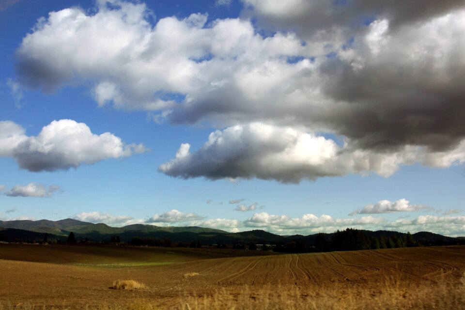 Landscape fall autumn