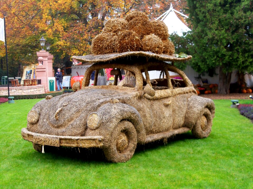 Halloween pumpkin grass