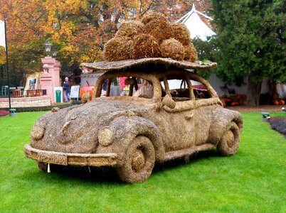 Halloween pumpkin grass