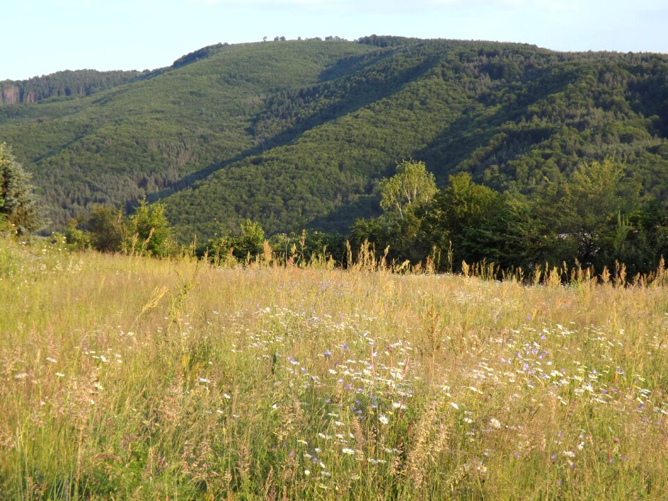 Nature environment natural