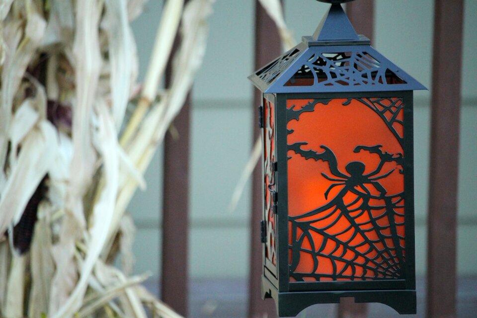 Spooky corn october