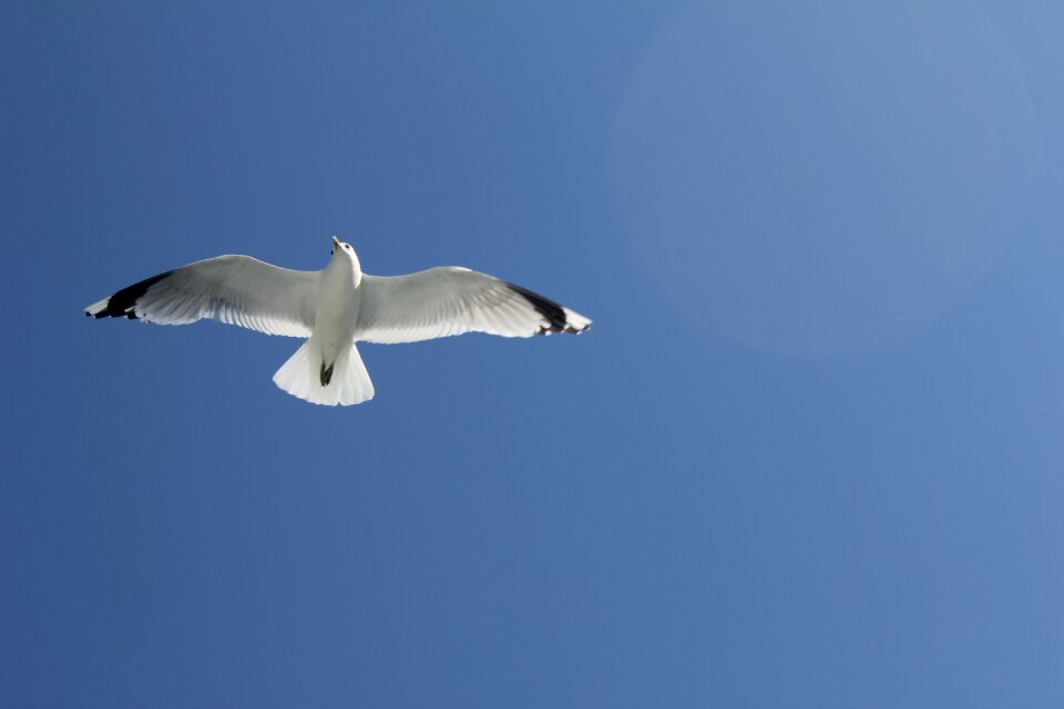 Sky blue sea