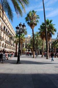 Palm tree spain architecture