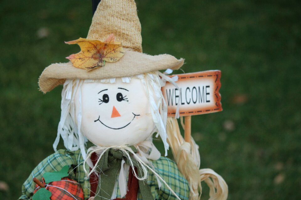 Harvest decoration seasonal