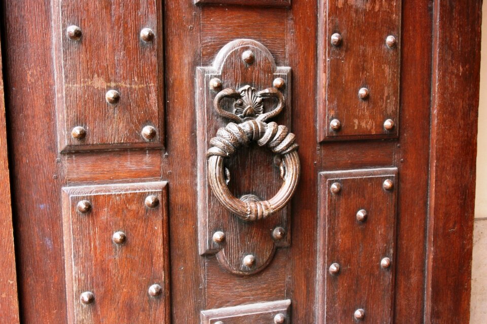 Door wooden door entry