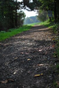 Path nature landscape